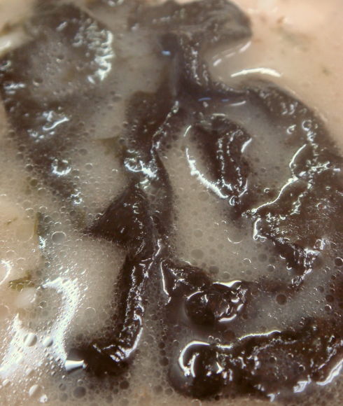 �������������Į�ʺ��츩��34