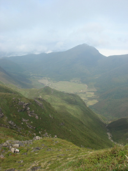 �����夦96