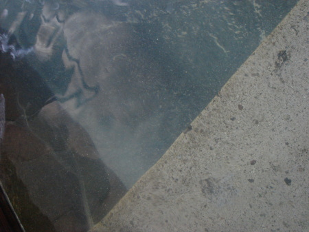 �����夦12b