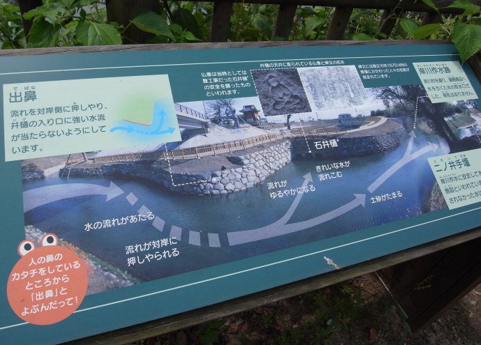佐賀43