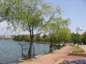 2004 04 24 ohohori