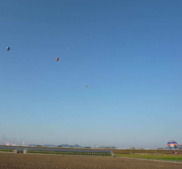 佐賀25