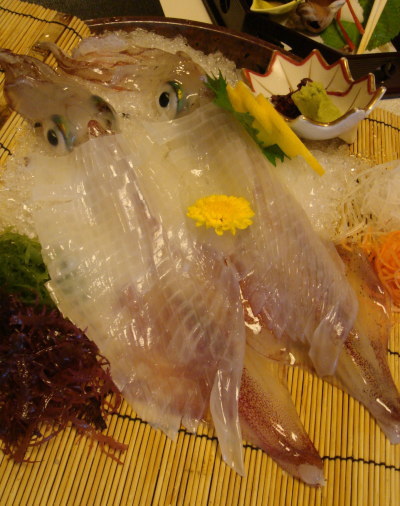 玄洋11