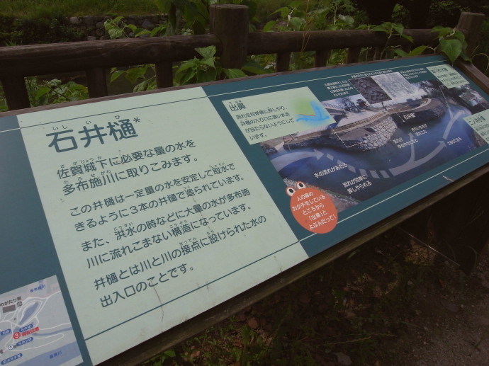 佐賀42