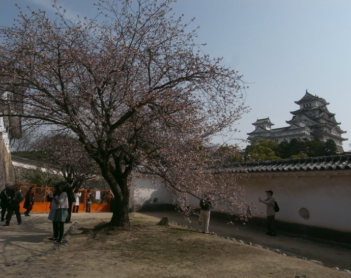 姫路城42
