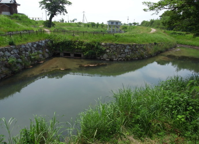 佐賀44