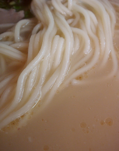 ���ܸ��������23