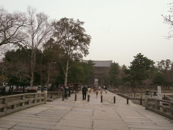 東大寺10