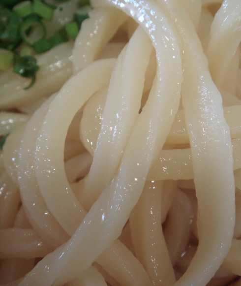 �����ͽ���⾾��