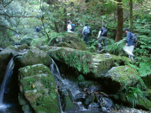井原山16