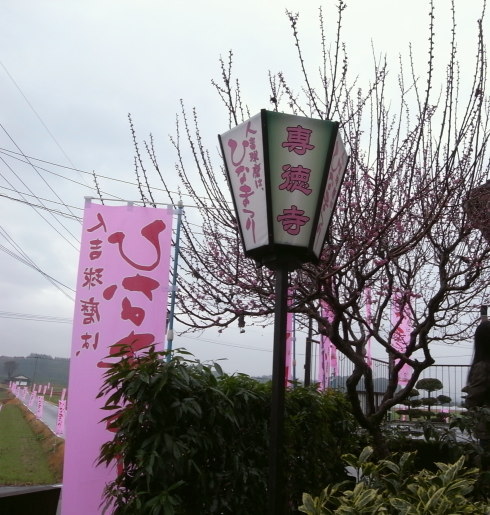 ������������¼99