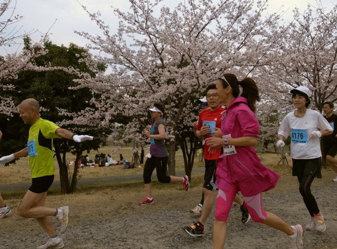 �������ޥ饽��11