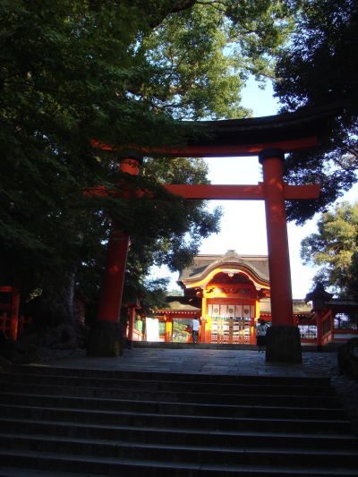 ��������25