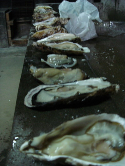 ������Į14