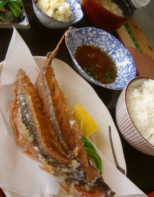 紀乃川@本部町71