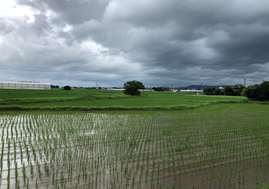 2019_07_21_tenka17