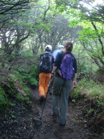 ������31