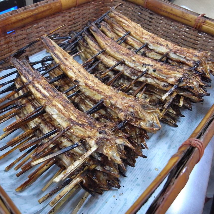 2010_03_20_shimo20