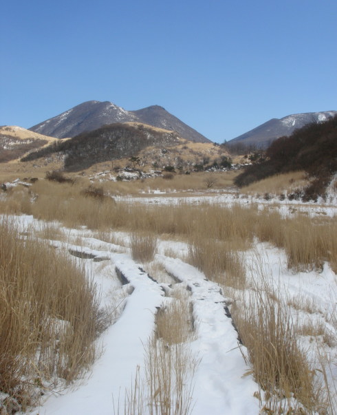 �����夦50