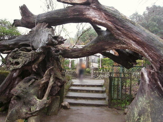 ������������¼12