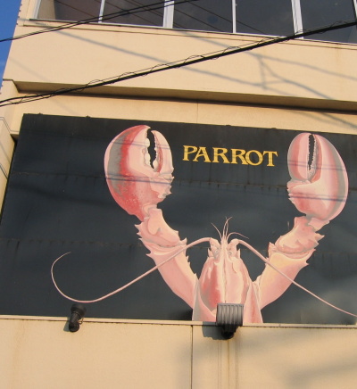 parrot11