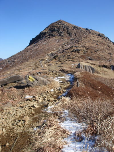 �����夦72