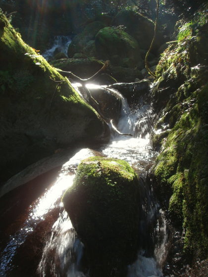 井原山26