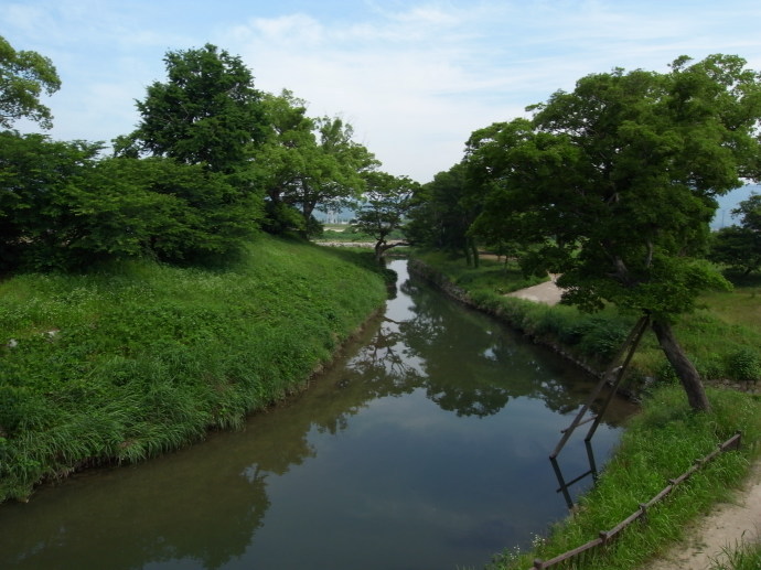 佐賀21