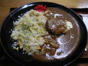 2004 01 17 ikedaya ha ca