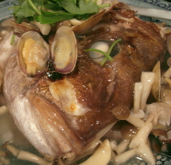 ��ë��taizo41