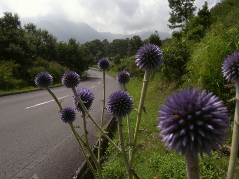 �����夦15