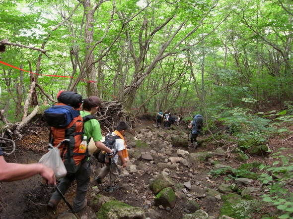 �����夦52