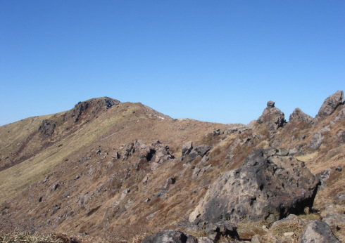 �����夦41