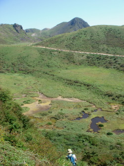 �����夦17