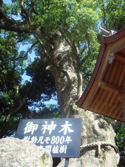 ���������40