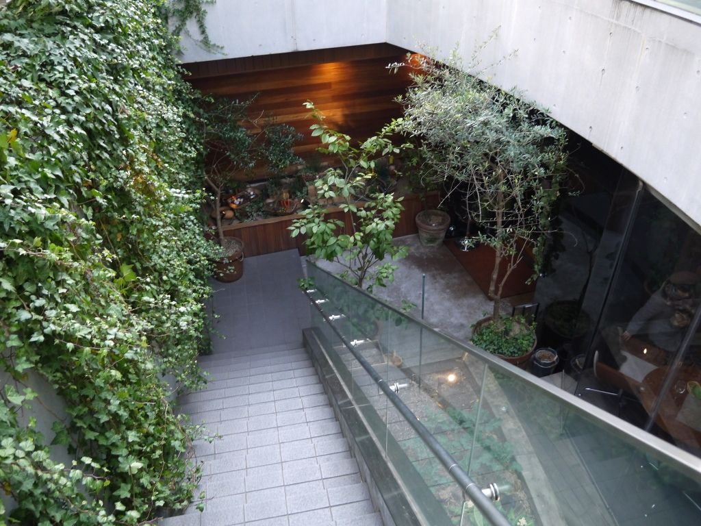 Hatake Aoyama でランチ てつ校長のひとり言