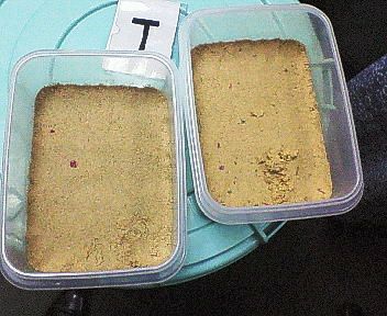 ぬか床 千束 が ためしてガッテン に出るそうです てつ校長のひとり言