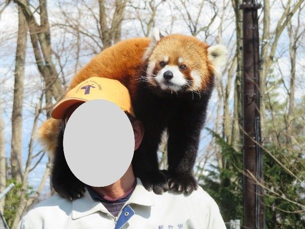 動物ふれあい ロンくんお疲れ様 長野 茶臼山動物園に行ってきました 日本綜合経営協会スタッフblog