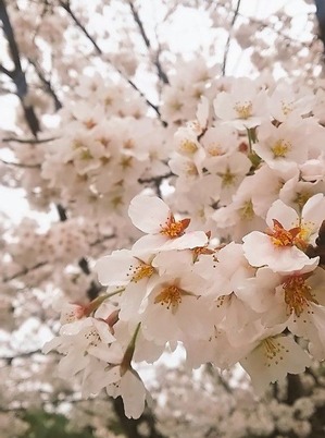 20170421_4