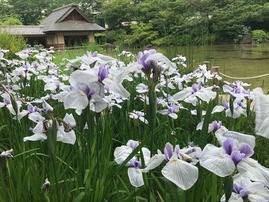 20190620-3