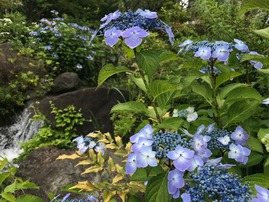 20190620-2