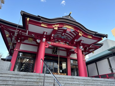 Image (1)