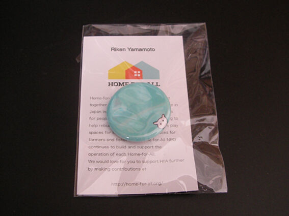HOME FOR ALL badge(RY)-1