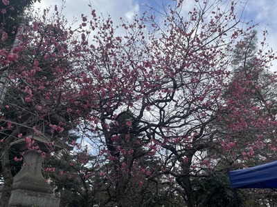6EA9F1DD-BCE9-4B48-82A1-A307F5C0042A