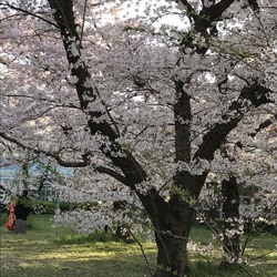 IMG_0622