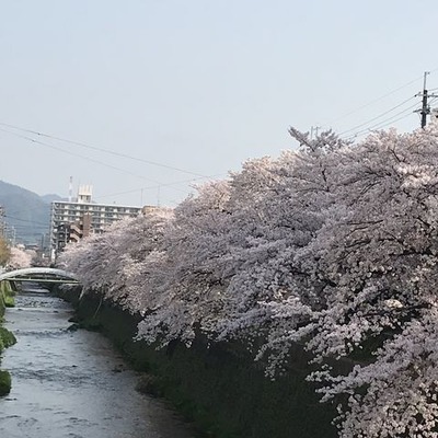 A5159206-9A3A-4F85-A5B8-61F8E8D45322