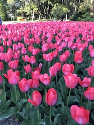 IMG_0609