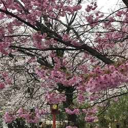 IMG_0564