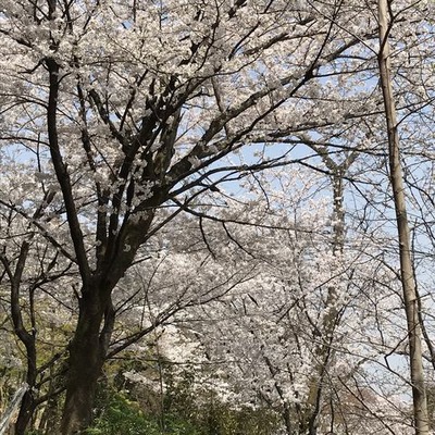 1CFBCDBF-BE9B-40B9-85B6-6770B440BF1F