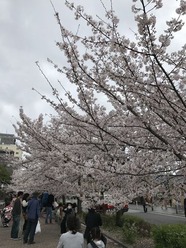 IMG_0581